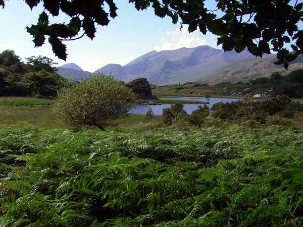 Ring Of Kerry 1