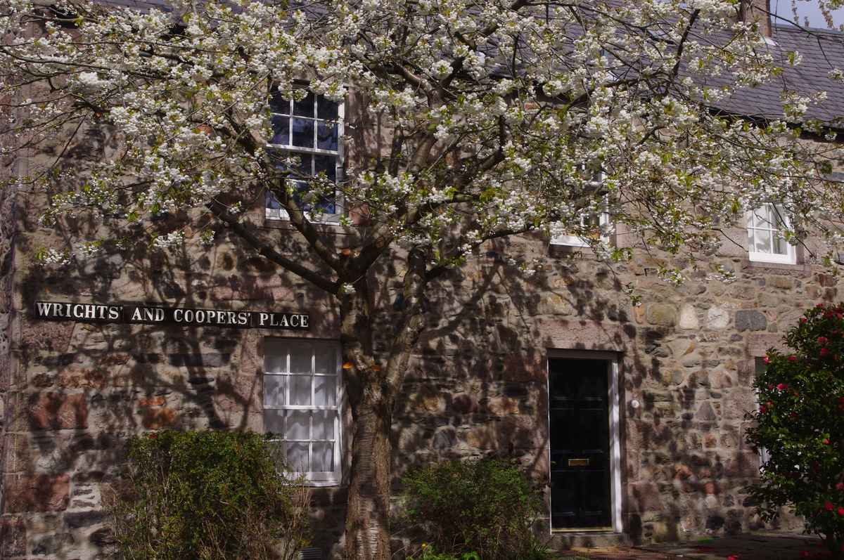 Cottage floral