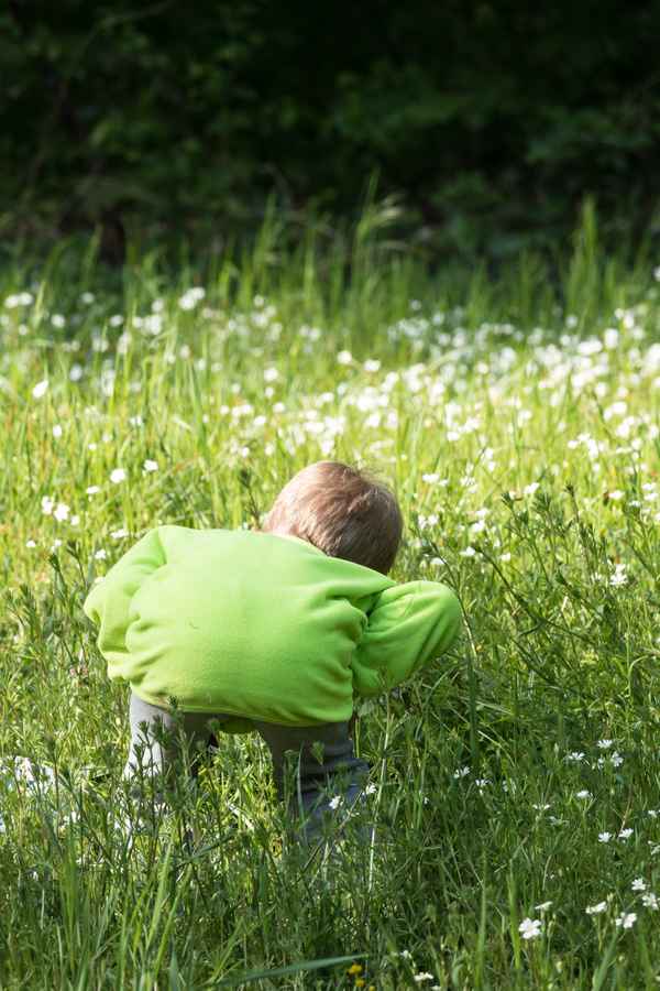 die Natur entdecken