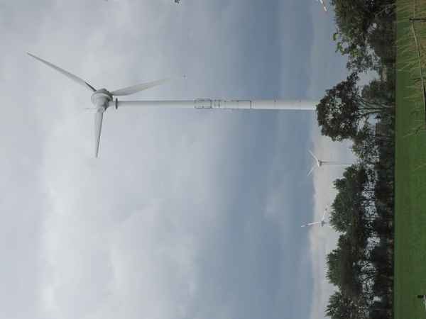 Windpark 3