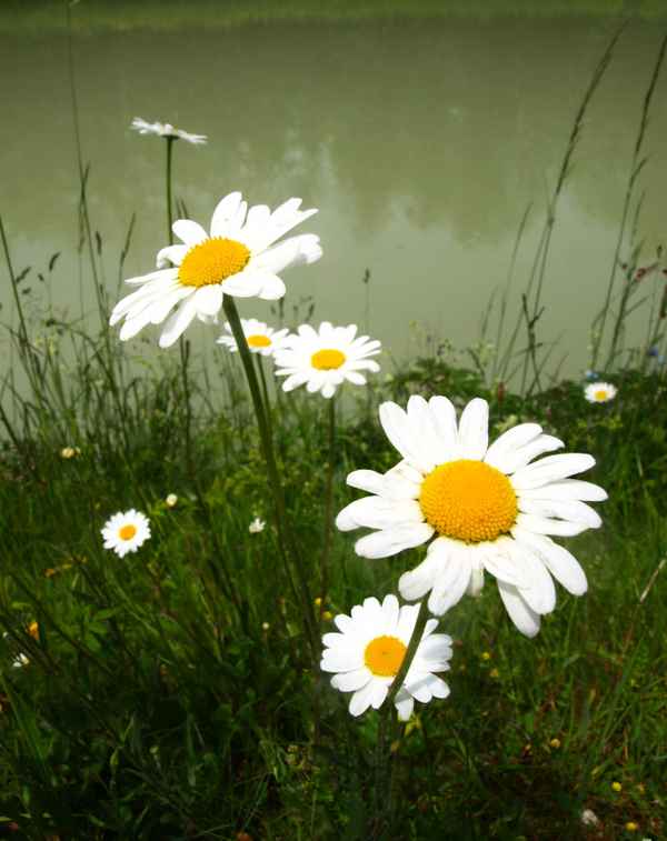 ...dann sechs...