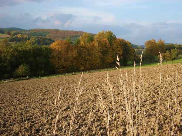 nach der Ernte