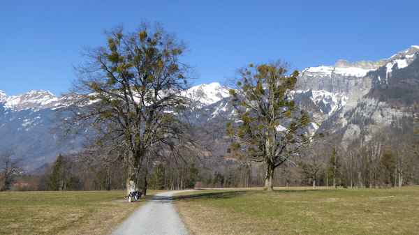 Auf der Via Jacobi