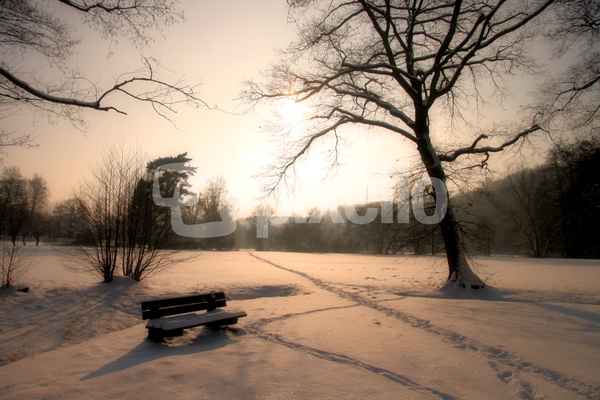 Parkstillleben
