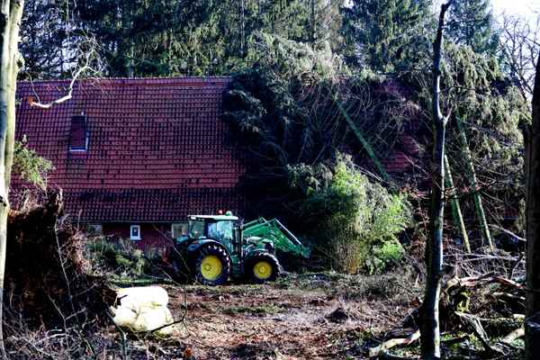 aufräumen nach dem orkan