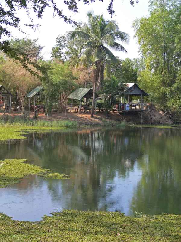 Sai Ngam Park, Phimai, Thailand
