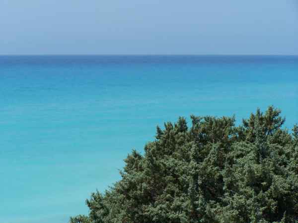 Meer
