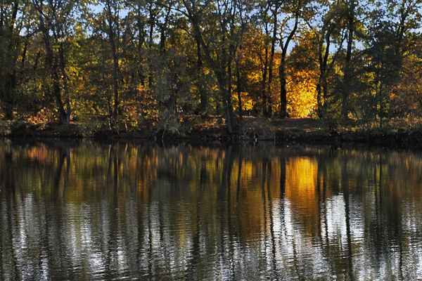 goldener Herbst