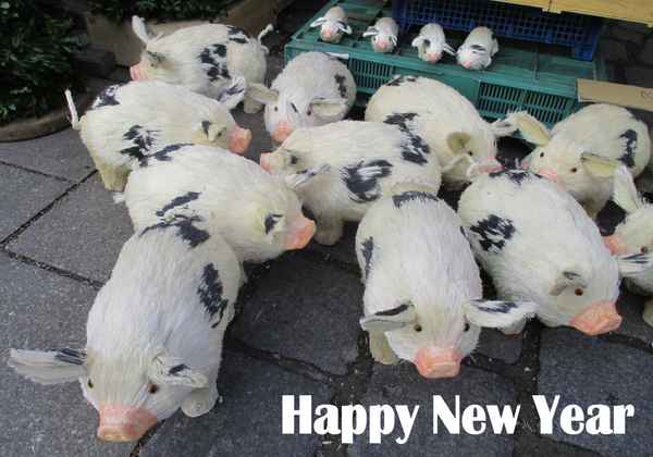 Happy New Year