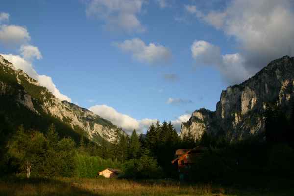  Gruener See 01