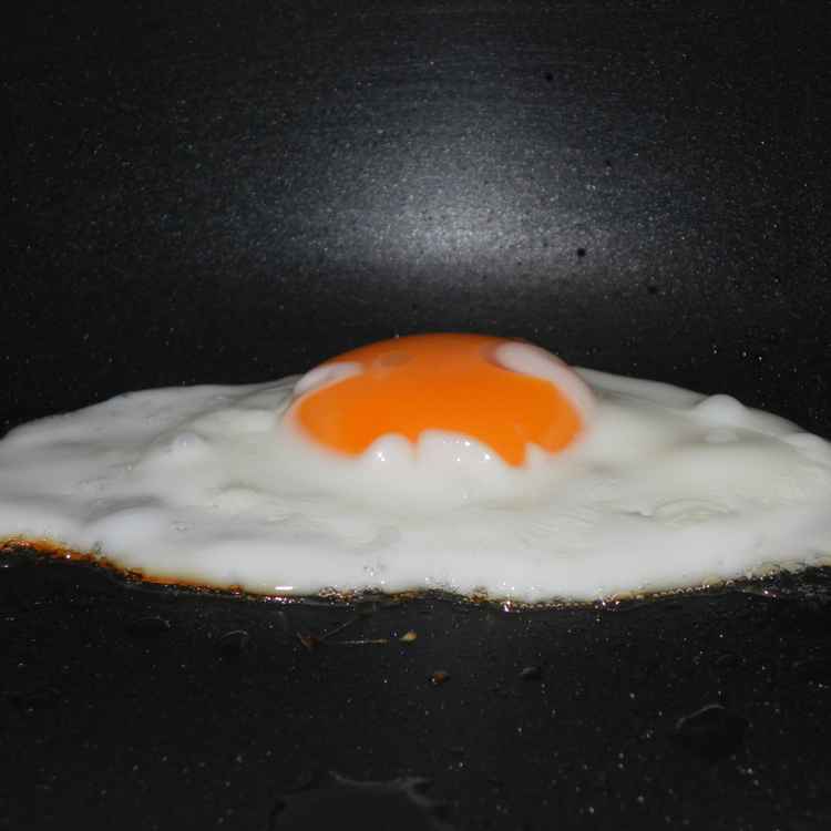 das gelbe vom Ei