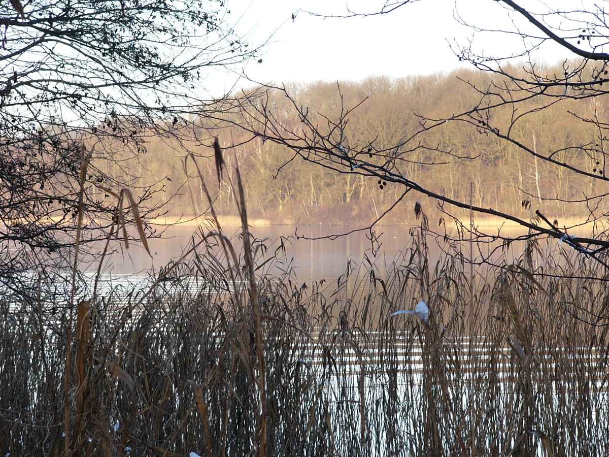 Avalon auf der anderen Seite?
