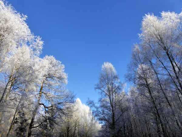 Weißblau