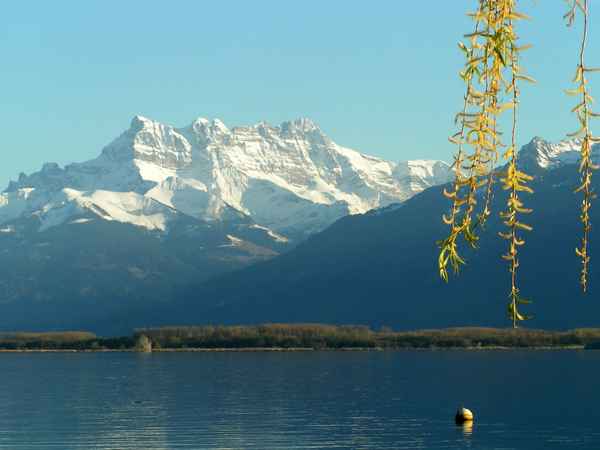 dents-du-midi