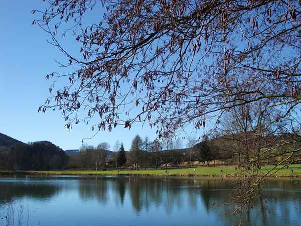 Hammerweiher