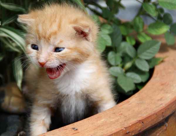 Mein erster Ausflug in Grüne