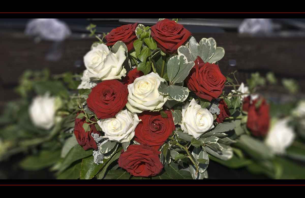 This must be Love..!