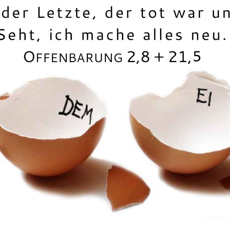 Aus dem Ei gepellt
