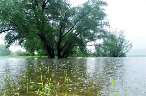 Hochwasser und immer weiter Regen