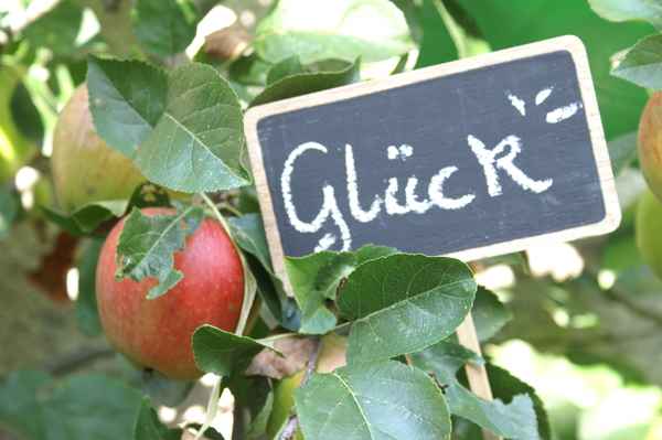 GLÜCK
