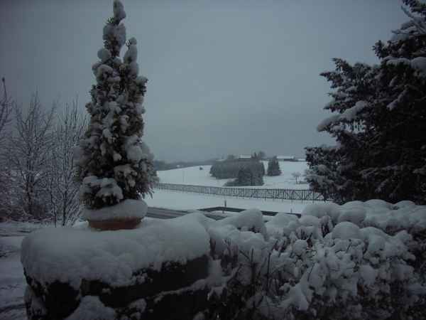 Grauer Schneehimmel