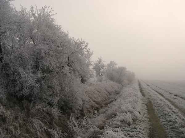 Winter und Raureif 25