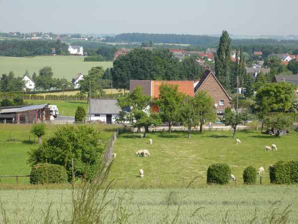 Ein Stück Sauerland Natur