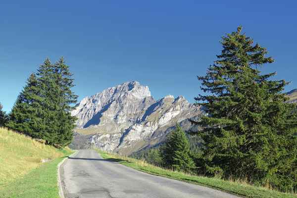 Sicht auf die Les Diablerets