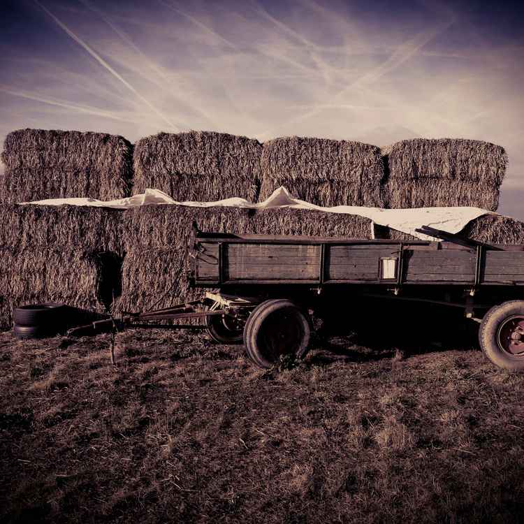 Heuwagen
