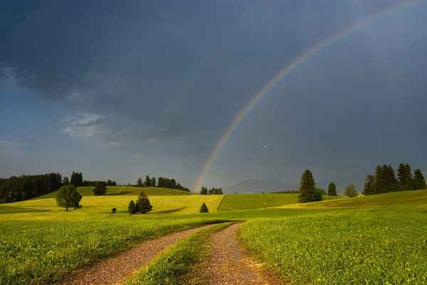 Rainbow & Ice