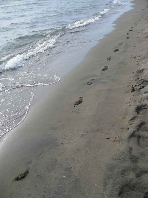 Der einsame Spaziergänger