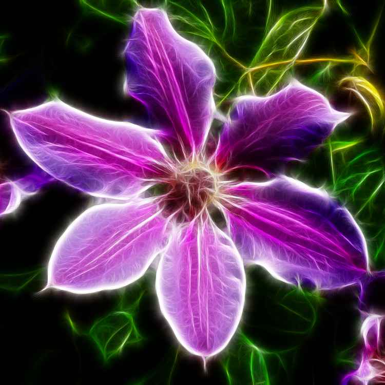 Flowerpower
