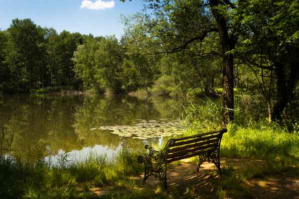 ein Schattenplätzchen am See