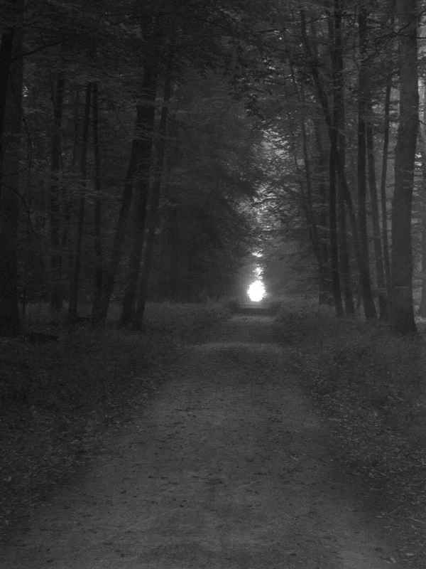 Der letzte Weg