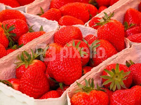 Erdbeeren