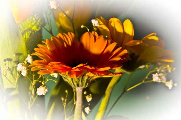 blumengebinde