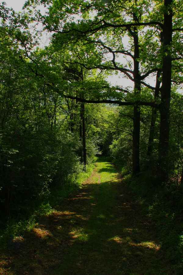 Natur in Unterfranken 02