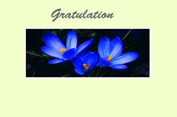 Gratulation