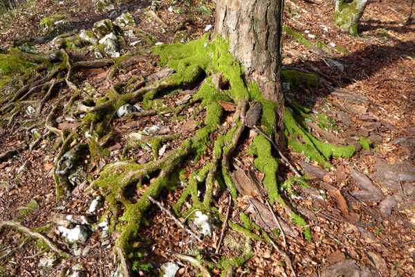 Optimal festgehalten