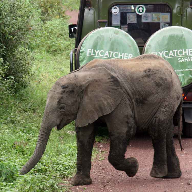Bitte Vorfahrt beachten