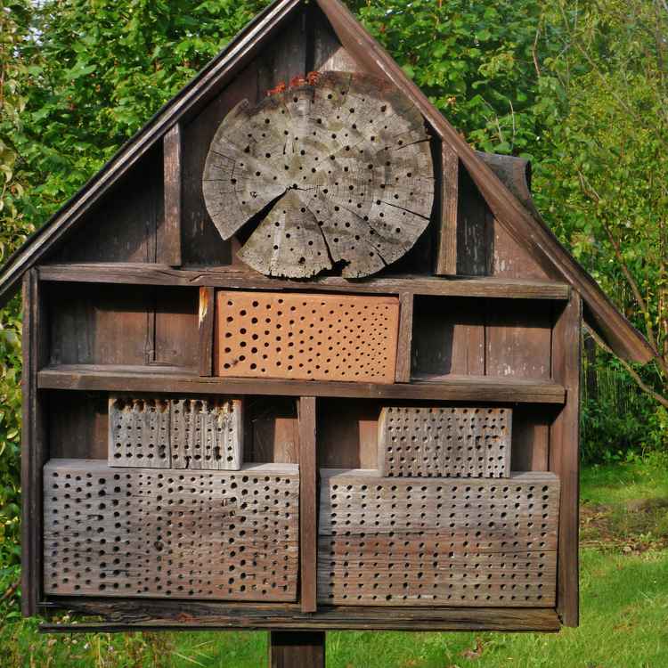 Insektenhaus