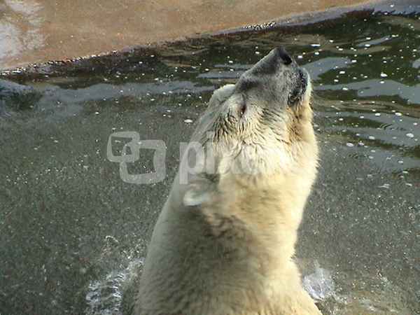 Iiiiiiiihhhh, nasssss.....