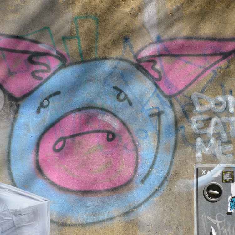 Gegen Schweinefleisch-Verzehr