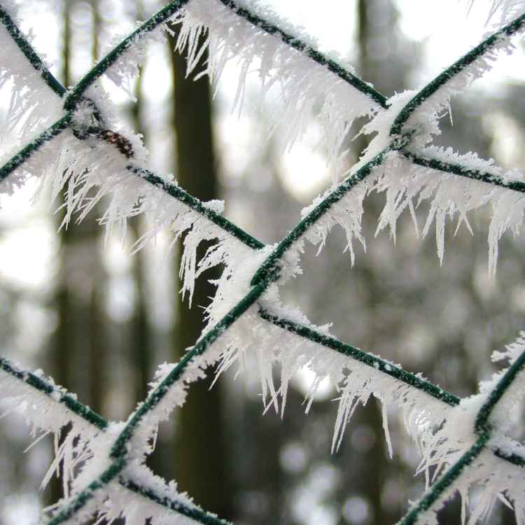 ein Zaun mit "Dornen"