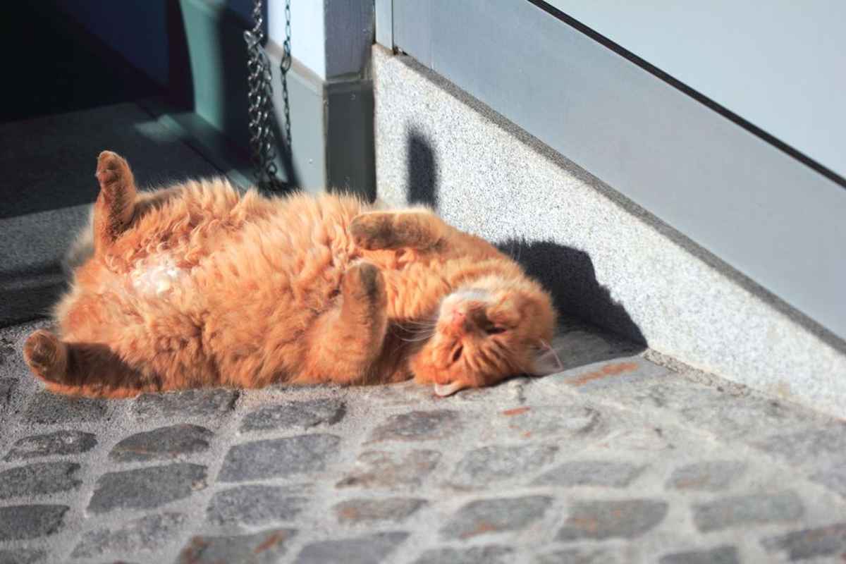 Den Herbst auskosten...