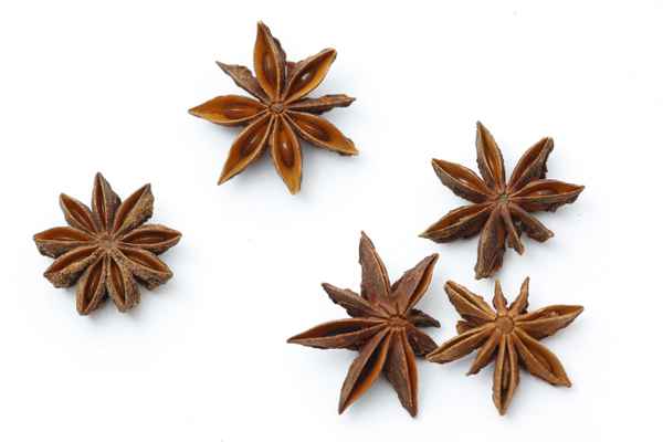 Sternanis