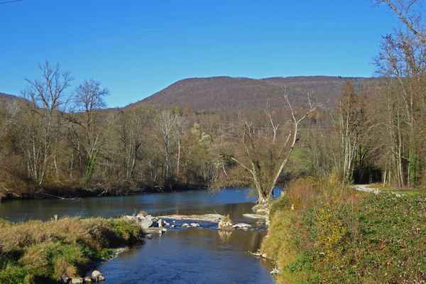 Auenlandschaft im November