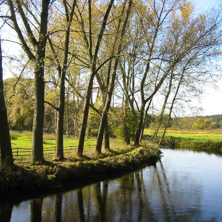 Ilmenau bei Bad Bevensen