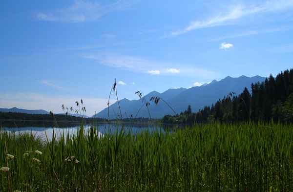Harmonie der Natur 01