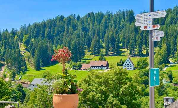 B&auml;renschl&ouml;ssle im Forbachtal